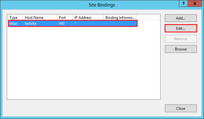 IIS Manager Site Binding