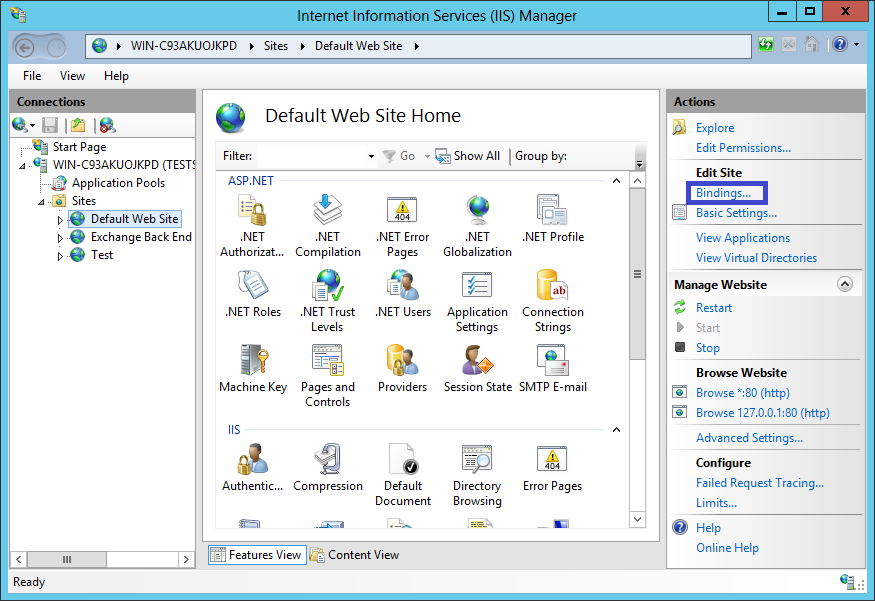IIS 8 Web Site Home Page Bindings